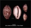 123.jpg
