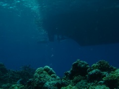 Click for image