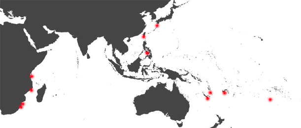 distribution of Nesiocypraea lisetae